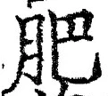 Chữ 肥