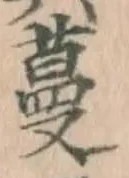 Character 蔓