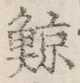 已定位鯨