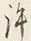 文字き