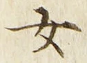 字女