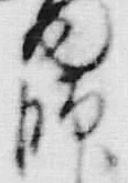 字師