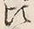 Character 頃