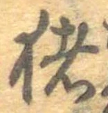 已定位猪
