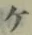 𡨸ケ