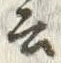「伝」字
