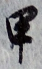 Character 甲