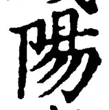 Character 陽