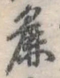 Đã định vị 麁