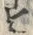 文字ビ