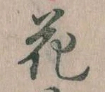 位置 確認된 花