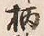 𡨸酌