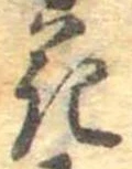 位置 確認된 花