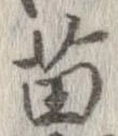 苗の位置