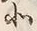文字北