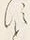 字す