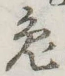 已定位兎