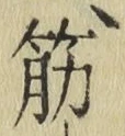 文字筋