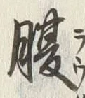字腹