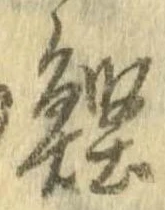 位置 確認된 鰹