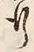 文字 行