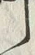 文字 都