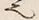 “也”字