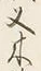 𡨸又