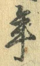 位置 確認된 年