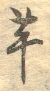 已定位芋