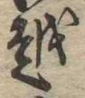 位置 確認된 越