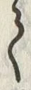 字平