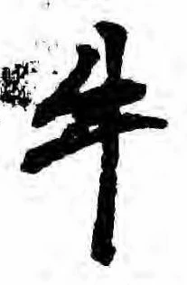 位置定マレル牛