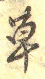 𡨸草
