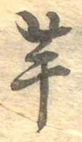已定位芋