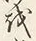 「上」字