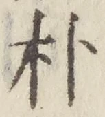 文字朴