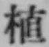 文字 植
