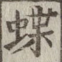 位置定マレル蝶