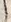 字輿