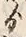 文字 ゟ