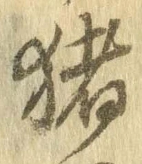 已定位猪
