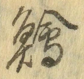 鱠の位置