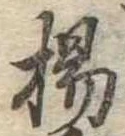 已定位楊