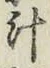 文字汁