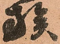 位置定マレル族