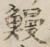 已定位鰻