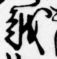 位置 確認된 越