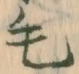 字毛