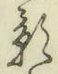 字影